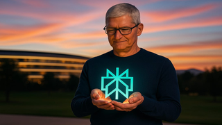 Why Apple Must Buy Perplexity